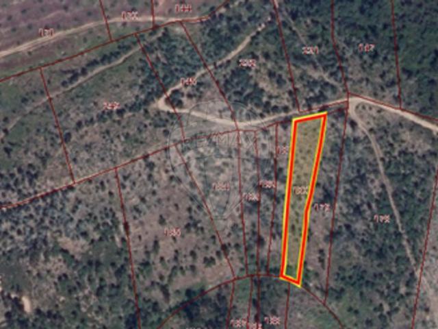 Terreno alugar em Santarém, São Pedro de Tomar