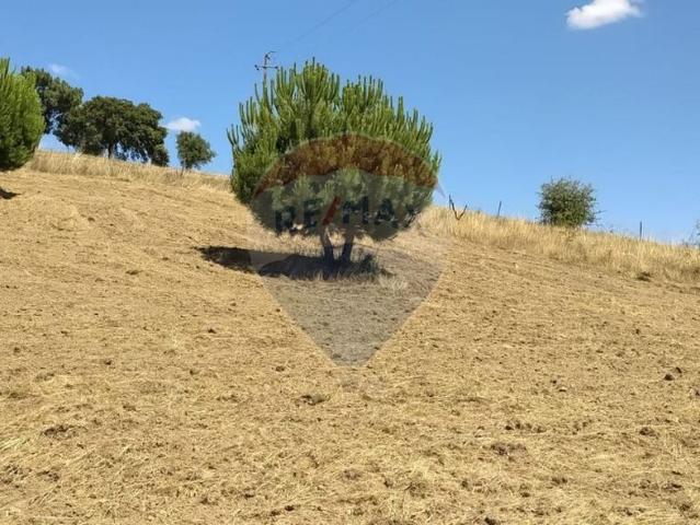 Terreno venda em Quinta do Falcão, Tomar