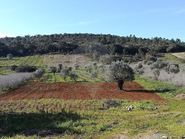 Terreno venda em Tomar, Santarém