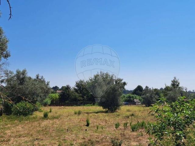 Terreno venda em Lobão da Beira, Tondela
