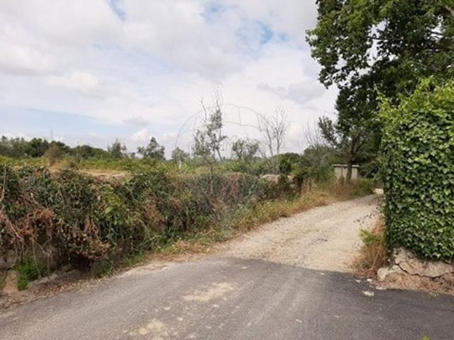 Terreno venda em Lobão da Beira, Tondela