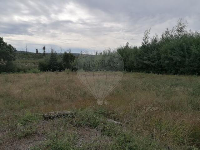 Terreno venda em Molelos, Tondela