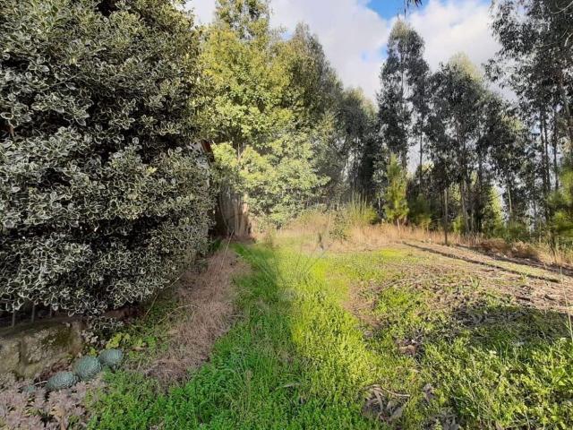 Terreno venda em Mouraz e Vila Nova da Rainha, Tondela