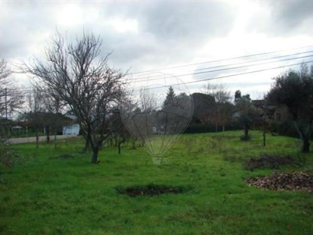 Terreno venda em Tondela, Viseu