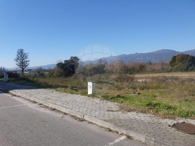 Terreno venda em Molelos, Tondela
