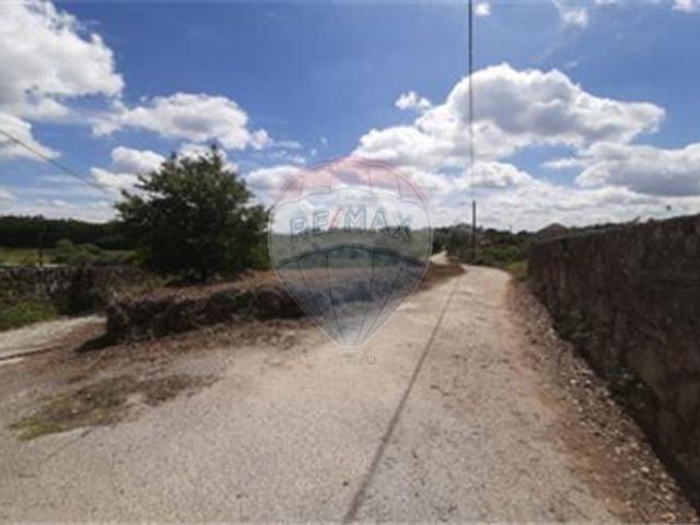 Terreno venda em Póvoa de Arcediago, Tondela
