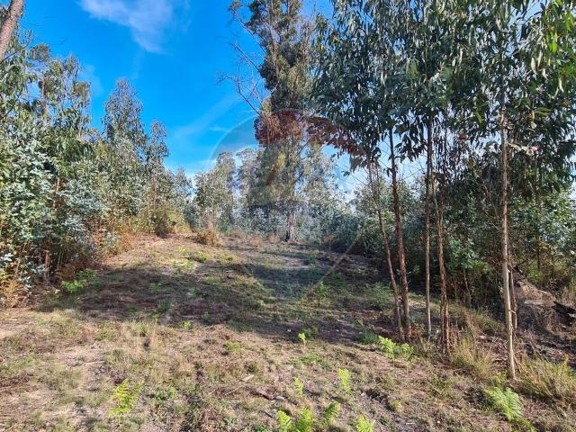 Terreno venda em Tondela, Viseu