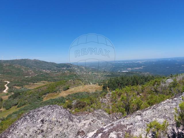 Terreno venda em Caparrosa e Silvares, Tondela