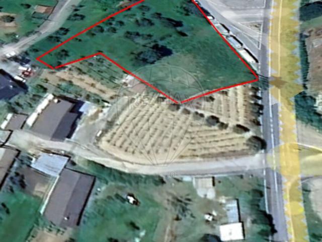 Terreno venda em Caparrosa e Silvares, Tondela