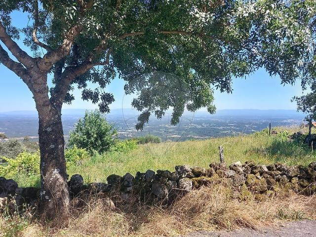 Terreno venda em Caparrosa e Silvares, Tondela