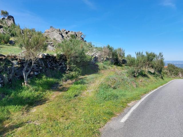 Terreno venda em Guardão, Tondela