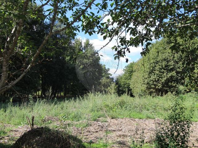 Terreno venda em Tondela, Viseu