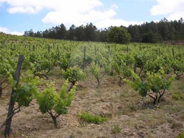 Terreno venda em Molelos, Tondela