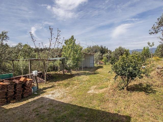 Terreno venda em Tondela e Nandufe, Tondela