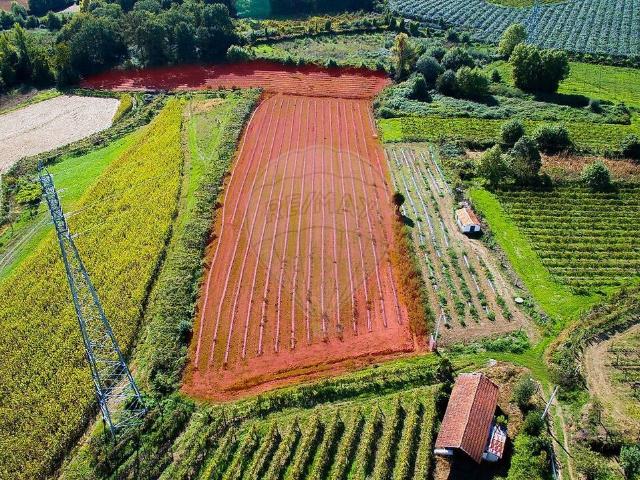 Terreno venda em Pedreira, Rande e Sernande, Felgueiras