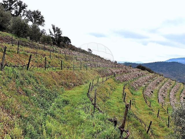 Terreno venda em Santa Marta De Penaguião, Vila Real