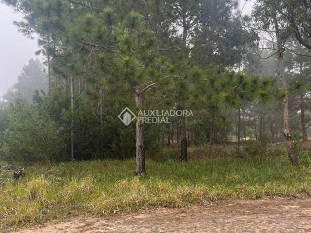 Terreno venda em Itapeva Norte, Torres