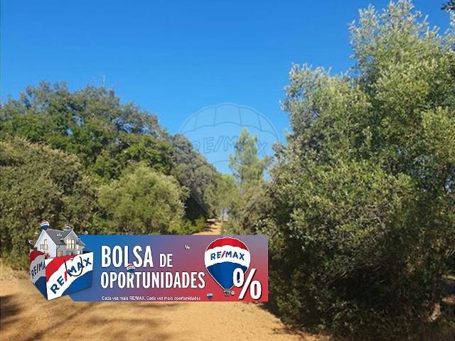 Terreno venda em Olaia e Paço, Torres Novas