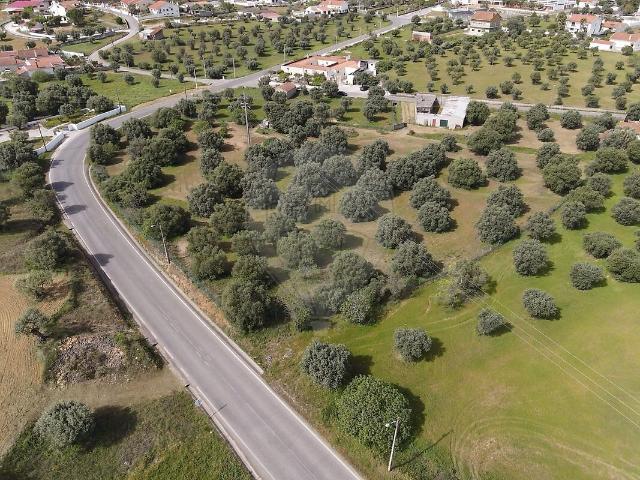 Terreno venda em Torres Novas, Santarém