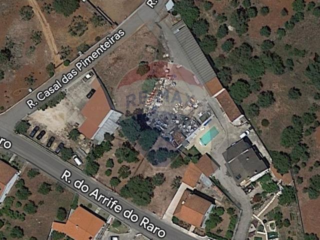Terreno venda em Torres Novas, Santarém