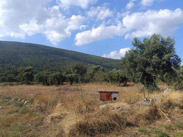 Terreno venda em Casal Funina, Torres Novas
