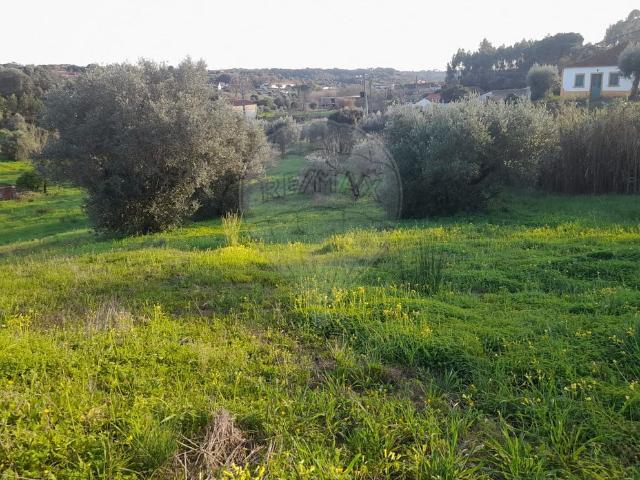 Terreno venda em Torres Novas, Santarém
