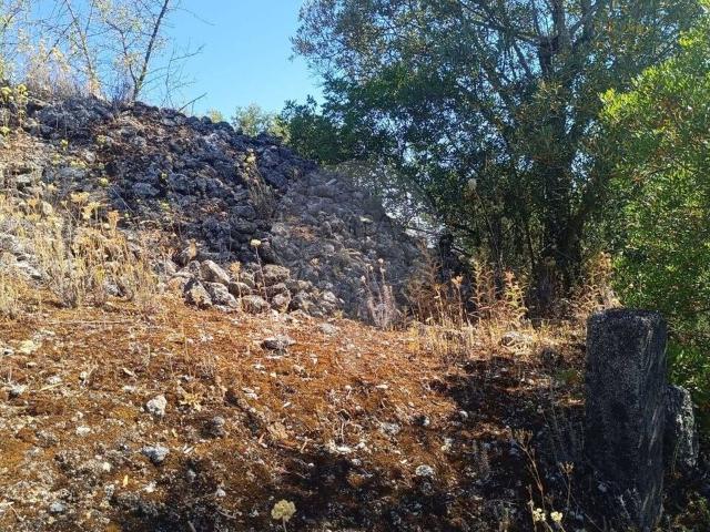 Terreno venda em Torres Novas, Santarém