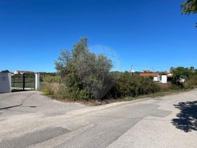 Terreno venda em Torres Novas, Santarém
