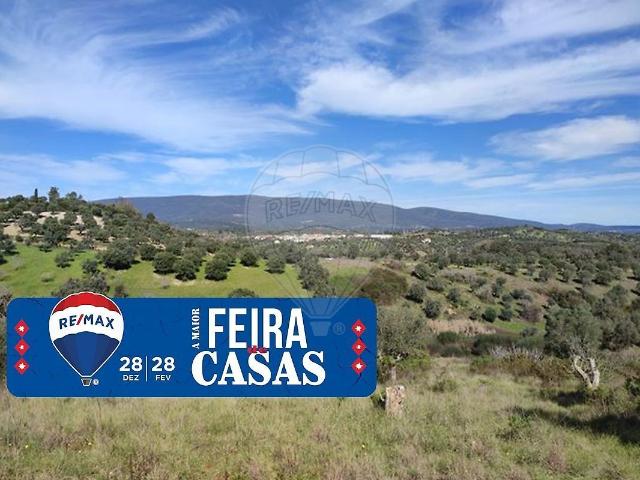 Terreno venda em Torres Novas, Santarém