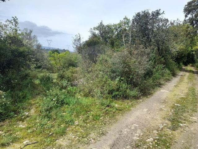 Terreno venda em Torres Novas, Santarém