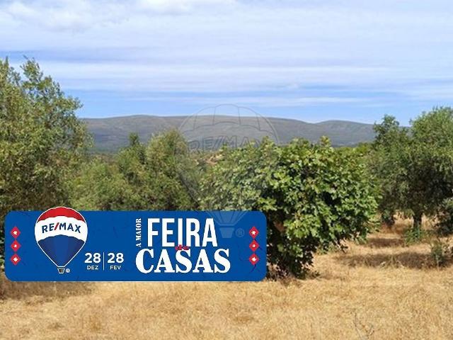 Terreno venda em Casal da Pinheira, Torres Novas
