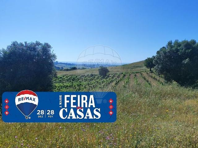 Terreno venda em Torres Novas, Santarém
