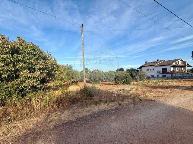 Terreno venda em Parceiros de São João, Torres Novas