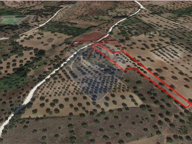 Terreno venda em Brogueira, Parceiros de Igreja e Alcorochel, Torres Novas