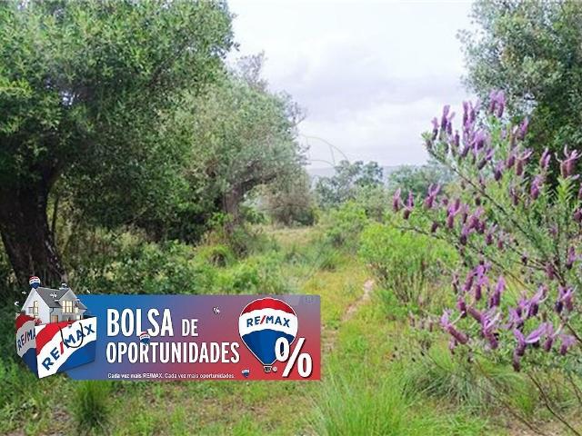 Terreno venda em Torres Novas, Santarém