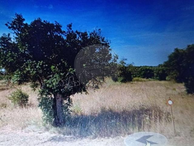 Terreno venda em Casal do João Dias, Torres Novas