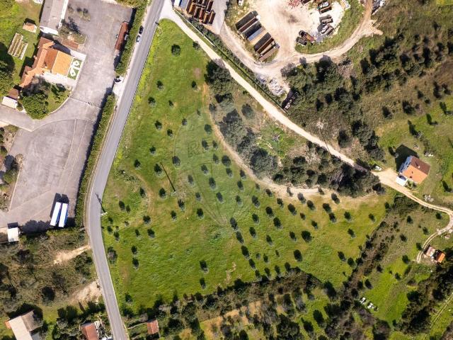 Terreno venda em Torres Novas, Santarém