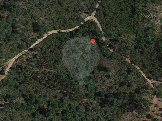 Terreno venda em Torres Novas, Santarém
