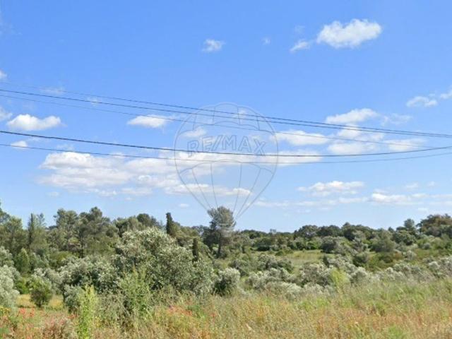 Terreno venda em Torres Novas, Santarém