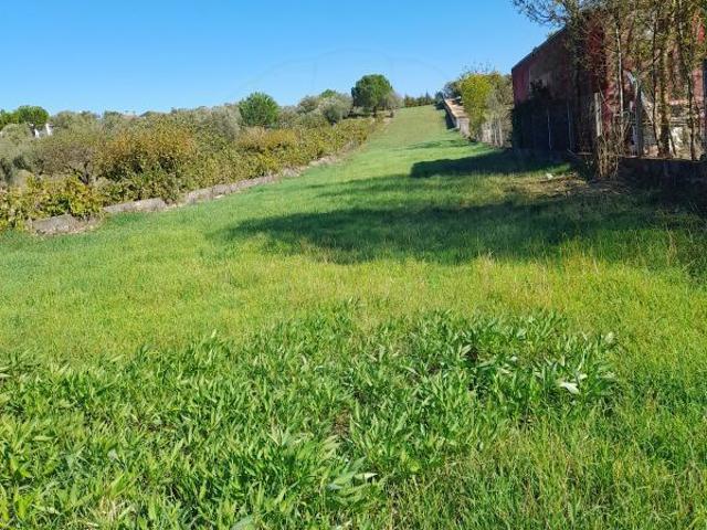 Terreno venda em Torres Novas, Santarém