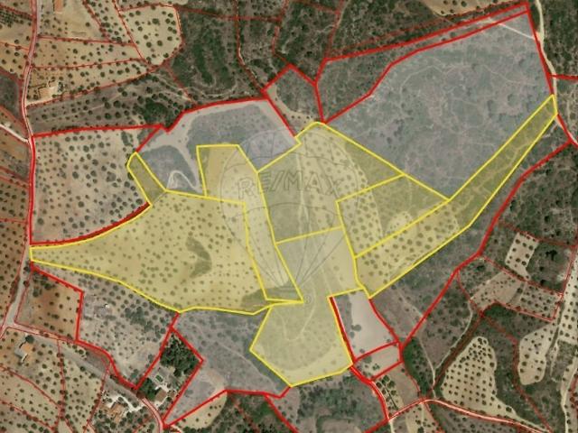 Terreno venda em São Pedro, Lapas e Ribeira Branca, Torres Novas