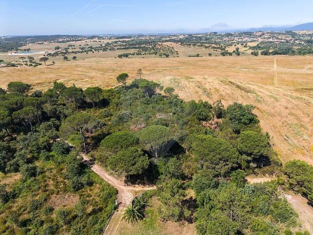 Terreno venda em Torres Novas