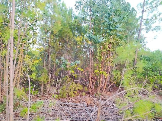 Terreno venda em Toulões, Idanha-a-Nova