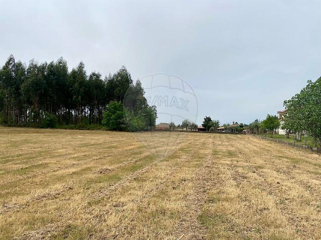 Terreno venda em Tourais e Lajes, Seia