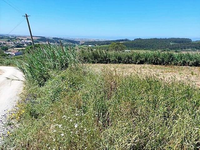 Terreno venda em Lourinhã, Lisboa