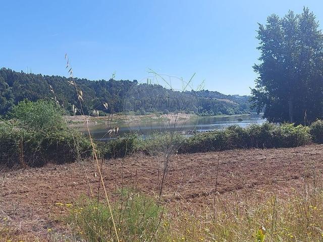 Terreno venda em Tramagal, Abrantes