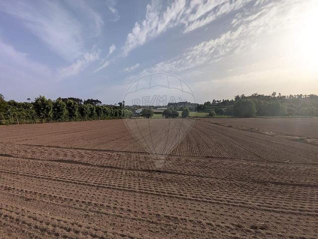 Terreno venda em Travanca, Amarante