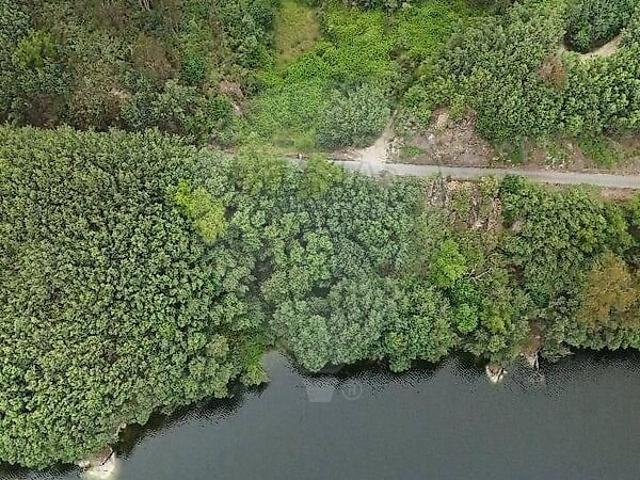 Terreno venda em Treixedo e Nagozela, Santa Comba Dão