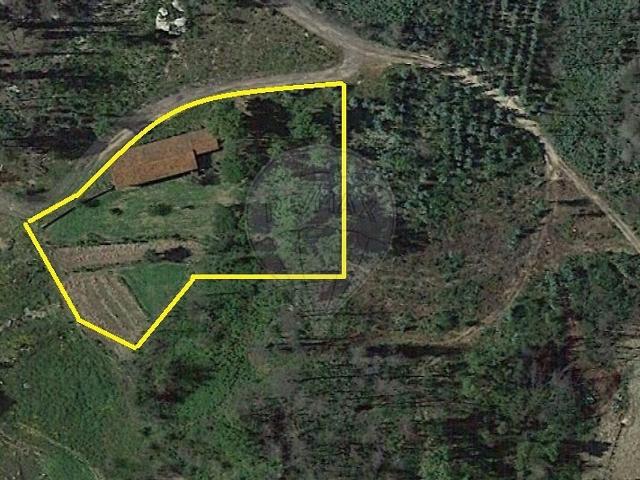 Terreno venda em Treixedo e Nagozela, Santa Comba Dão