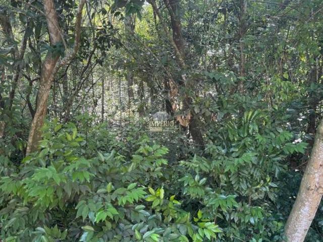Terreno venda em Região Geográfica Imediata de Taquara - Parobé - Igrejinha, Três Coroas